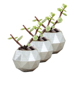 Mini Çiçek Saksı Küçük Sukulent Gümüş Kaktüs Saksısı 3'lü Set Mini Poly Silindir Model